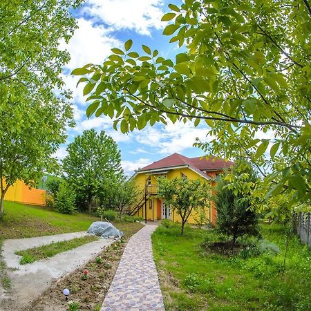 Casa Liana Hotel Oradea Exterior photo
